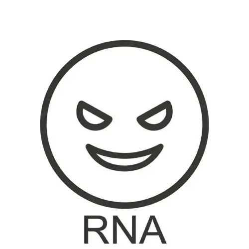 RNA